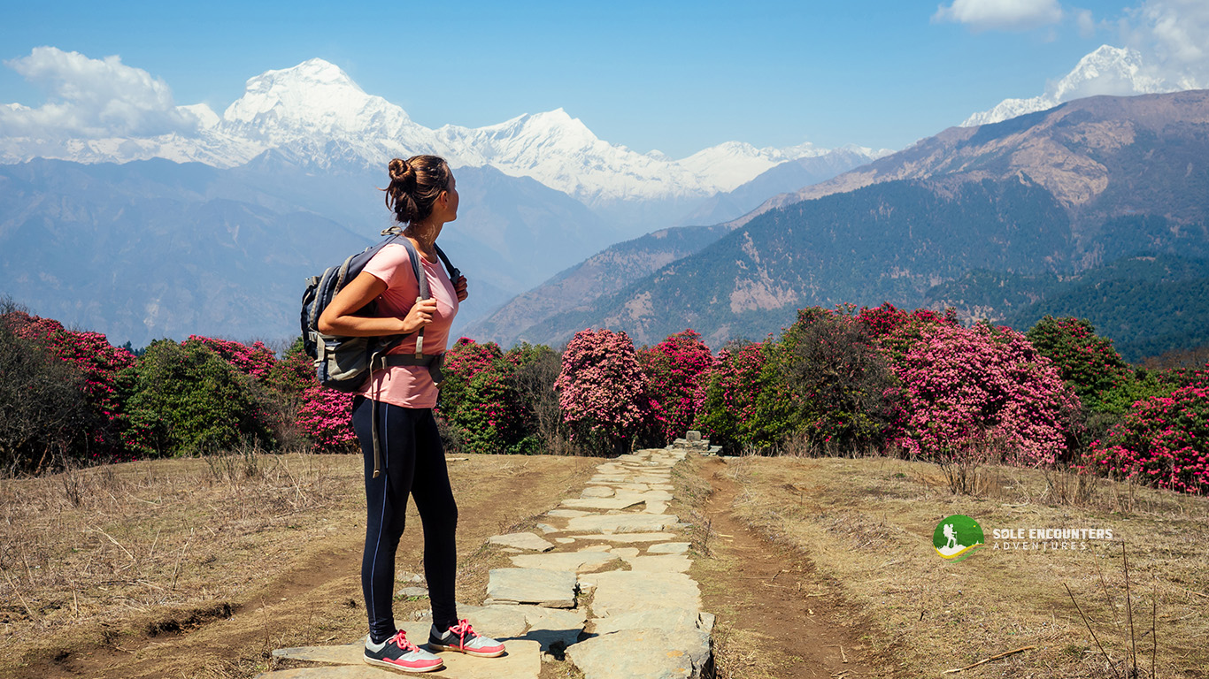 Ghorepani Poon Hill Trek